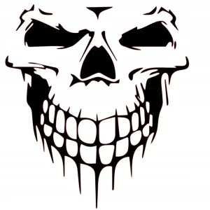 NAKLEJKA BEZ TŁA NA AUTO SAMOCHÓD SZYBĘ CZASZKA UŚMIECH Kup teraz