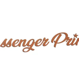 Oferta limitowana Wycinana naklejka PASSENGER PRINCESS miedziana