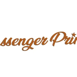 Wycinana naklejka PASSENGER PRINCESS brązowa Oferta limitowana