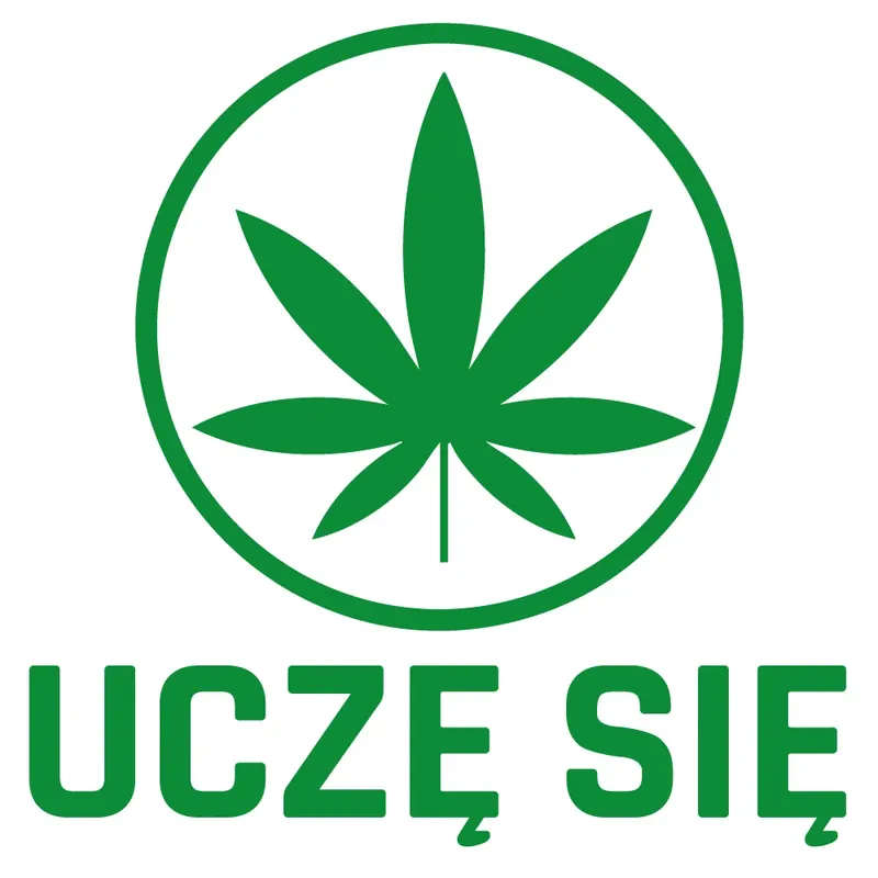 Darmowa dostawa NAKLEJKA ZIELONY LISTEK UCZE SIĘ NA SAMOCHÓD POCZĄTKUJĄCYCH KIEROWCÓW