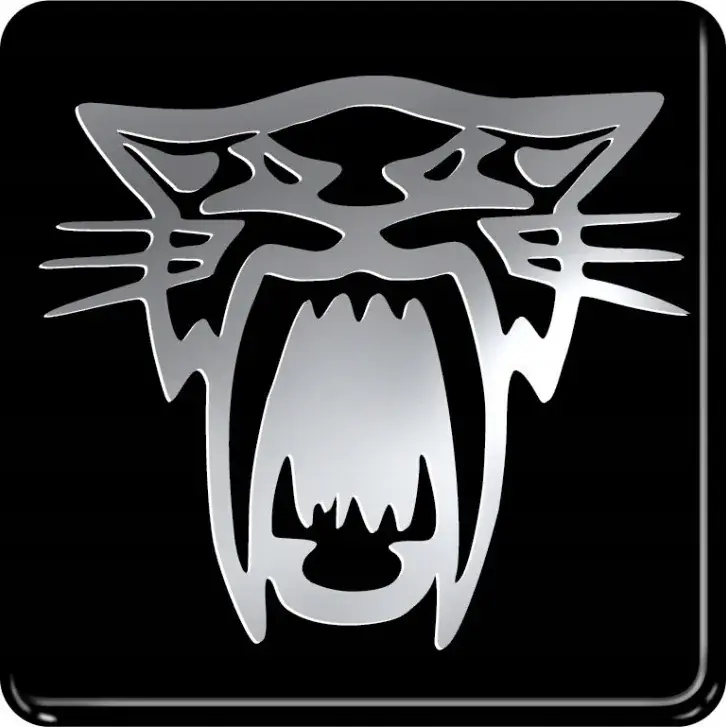 Tani Naklejka 3D Na Auto TYGRYS AVISA