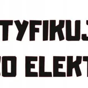 Promocja NAKLEJKA BEZ TŁA NA AUTO SZYBĘ SAMOCHÓD IDENTYFIKUJĘ SIĘ JAKO ELEKTRYK