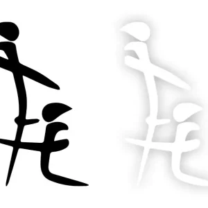 Szybka dostawa Chiński symbol EROTYCZNY - Naklejka na samochód na auto KOLOR