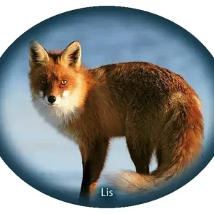 Najlepsza cena Naklejka LIS-13