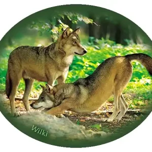 Naklejka WILKI-11 Wysoka jakość