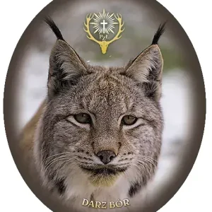 Premium Naklejka PZŁ RYŚ-24 -Naklejka zewnętrzna