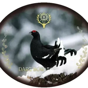 Oryginalny Naklejka PZŁ CIETRZEW-11 -Naklejka zewnętrzna