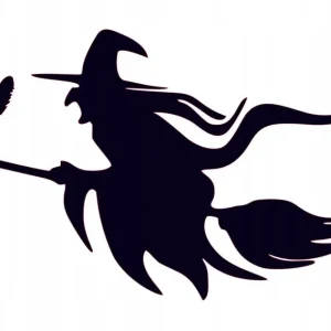 Ekspresowa dostawa NAKLEJKA NA AUTO SZYBĘ CZAROWNICA I KOT