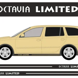 Kup teraz Naklejki do SKODA OCTAVIA pasy na bok samochodu