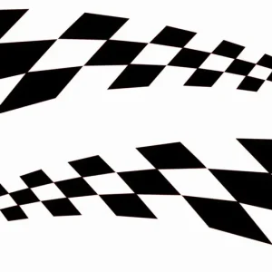 Ekspresowa dostawa NAKLEJKA BEZ TŁA NA AUTO SAMOCHÓD SZYBĘ KRATOWNICA NA BOK LEWA/PRAWA 20cm