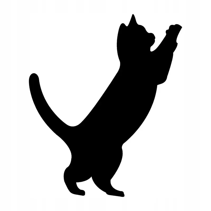 NAKLEJKA NA AUTO SZYBĘ KOT DRAPIE Autentyczny