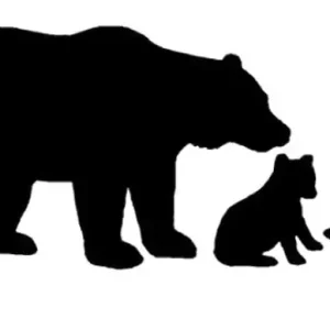 Oferta limitowana NAKLEJKA NA AUTO SZYBĘ NIEDŹWIEDŹ I MŁODE