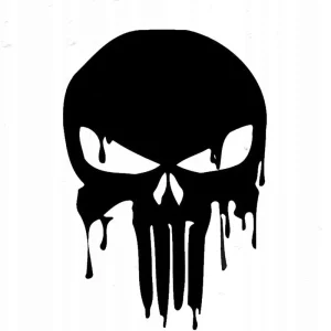 NAKLEJKA NA AUTO SZYBĘ PUNISHER SPŁYWA Nowość