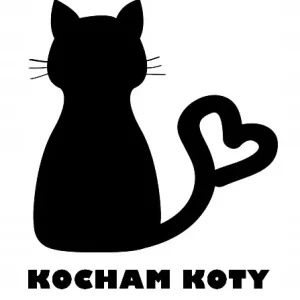 Tani NAKLEJKA NA AUTO KOCHAM KOTY