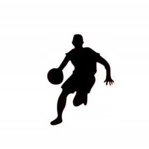 NAKLEJKA NA AUTO, SAMOCHÓD, SZYBĘ KOSZYKARZ Oferta limitowana