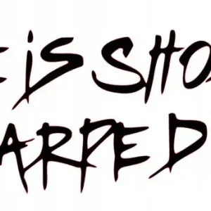 NAKLEJKA BEZ TŁA NA AUTO SAMOCHÓD SZYBĘ ŻYCIE JEST KRÓTKIE CARPIE DIEM Promocja