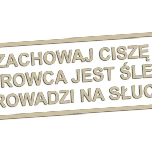 Darmowa dostawa Wycinana naklejka ZACHOWAJ CISZĘ KIEROWCA JEST ŚLEPY beżowa - J and A