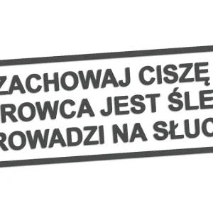 Wycinana naklejka ZACHOWAJ CISZĘ KIEROWCA JEST ŚLEPY grafitowa - J and A Ostatnia szansa