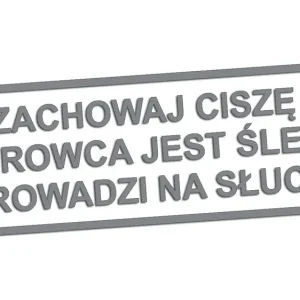 Wycinana naklejka ZACHOWAJ CISZĘ KIEROWCA JEST ŚLEPY szara - J and A Zamów teraz