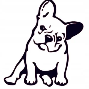 Zwrot pieniędzy NAKLEJKA NA AUTO SAMOCHÓD SZYBĘ BULDOŻEK FRANCUSKI SIEDZI