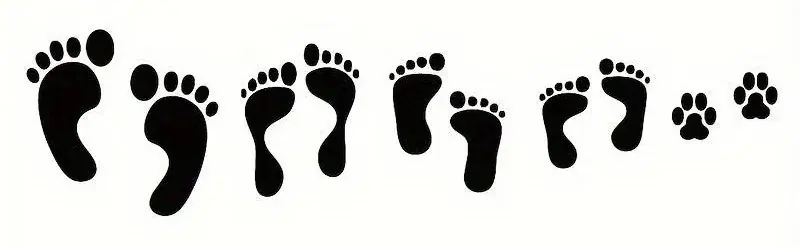 Wyprzedaż NAKLEJKA BEZ TŁA NA AUTO SAMOCHÓD SZYBĘ RODZINA STOPKI ŁAPKI