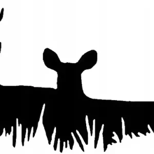 Ekspresowa dostawa NAKLEJKA NA AUTO SZYBĘ JELEŃ I ŁANIA