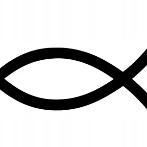 NAKLEJKA BEZ TŁA NA AUTO SZYBĘ INENSTICKER Popularny