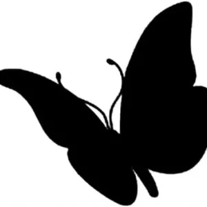 Najlepsza cena NAKLEJKA NA AUTO SZYBĘ MOTYL CZUŁKI