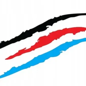 NAKLEJKA NA SAMOCHÓD PAZURY PAZUR 14CM 3 KOLORY!!! Ostatnia szansa