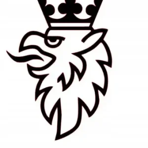 NAKLEJKA NA AUTO SZYBĘ HERB ORZEŁ Ekspresowa dostawa