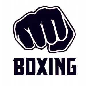 Oferta limitowana NAKLEJKA NA AUTO SZYBĘ BOXING BOX PIĘŚĆ