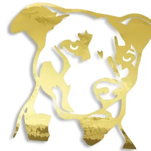 Darmowa dostawa Wycinana naklejka Pitbull złoty chrom - J and A