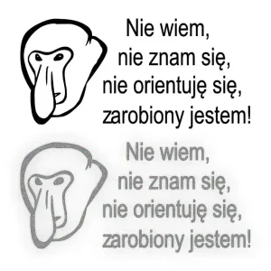 ...NIE ORIENTUJĘ SIĘ, ZAROBIONY JESTEM! - Naklejka Janusz na samochód na au Nowość
