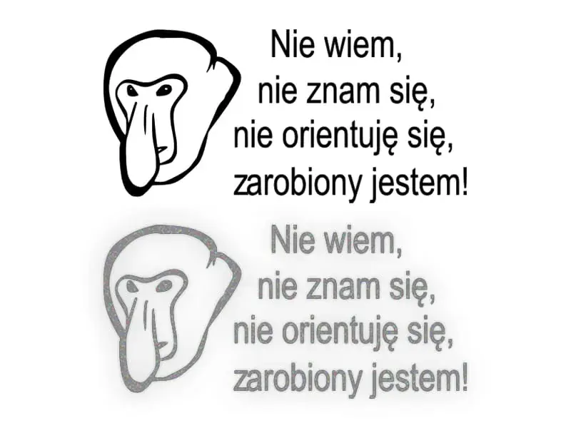 ...NIE ORIENTUJĘ SIĘ, ZAROBIONY JESTEM! - Naklejka Janusz na samochód na au Nowość