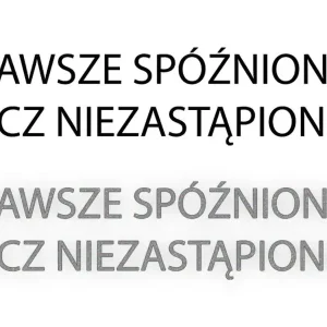 ZAWSZE SPÓŹNIONA LECZ NIEZASTĄPIONA - Naklejka na samochód na auto - ODBLAS Promocja