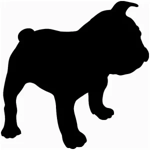 Kup teraz Naklejka na samochód auto PIES piesek Buldog z pieskiem 14 cm