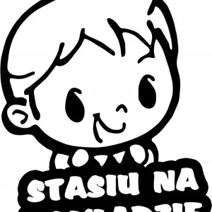 STASIU W SAMOCHODZIE naklejka w aucie 18x15 kolory Wysoka jakość