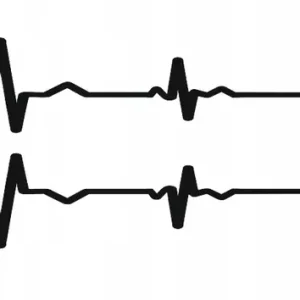 Wyprzedaż NAKLEJKA MOTOR OWIEWKĘ LINIA ŻYCIA PULS 40X5,5cm