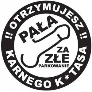 KARNE NAKLEJKI etykiety karny k-tas 100szt XL KK09 Zwrot pieniędzy