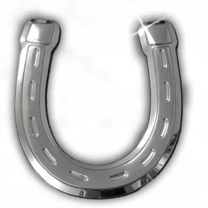 Ostatnia szansa Naklejka samochodowa Podkowa Na Szczęście blaszka Avisa