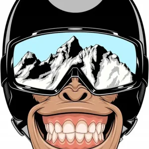 Wyprzedaż NAKLEJKA na samochód MAŁPA W KASKU MONKEY SNOWBOARD GÓRY 14x20 DRUK