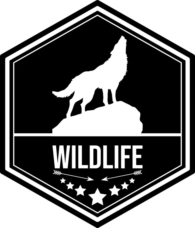 Oryginalny NAKLEJKA WILK na samochód auto KAMPER przyczepa kempingowa 70 cm