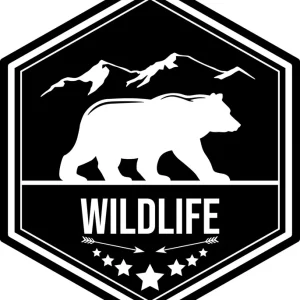 Naklejki na samochód auto KAMPER Niedźwiedź przyczepę kempingową 50 cm Zwrot pieniędzy