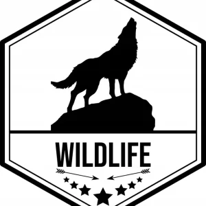 Popularny Naklejki WILK na samochód KAMPER przyczepę kempingową camper 70 cm