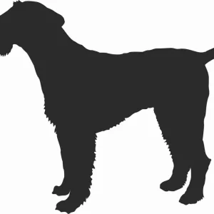 Airedale Terrier - naklejka na samochód laptopa telefon Bezpieczna płatność