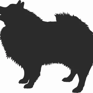 Zwrot pieniędzy Szpic Wilczy - naklejka na samochód laptopa telefon