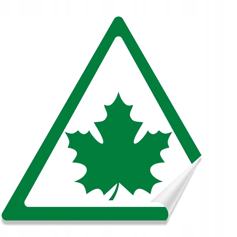 Wyprzedaż NAKLEJKA Grafika Młody Kierowca ZIELONY LISTEK LIŚĆ 14x12 na szybę samochód