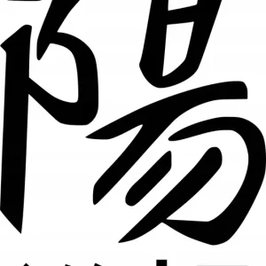 Kup teraz Naklejka na samochód auto, szybę lakier, tuning Kanji Symbol Yang 20cm