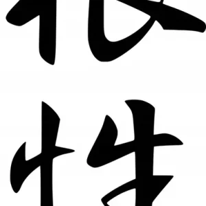 Bezpieczna płatność Naklejka na samochód auto, szybę lakier, tuning Kanji Symbol Dusza 25cm