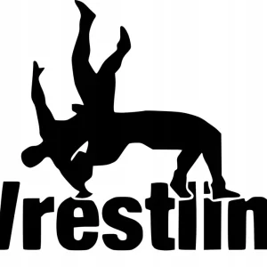 Naklejka na samochód auto, szybę lakier, tuning wrestling zapasy sport 25cm Zwrot pieniędzy